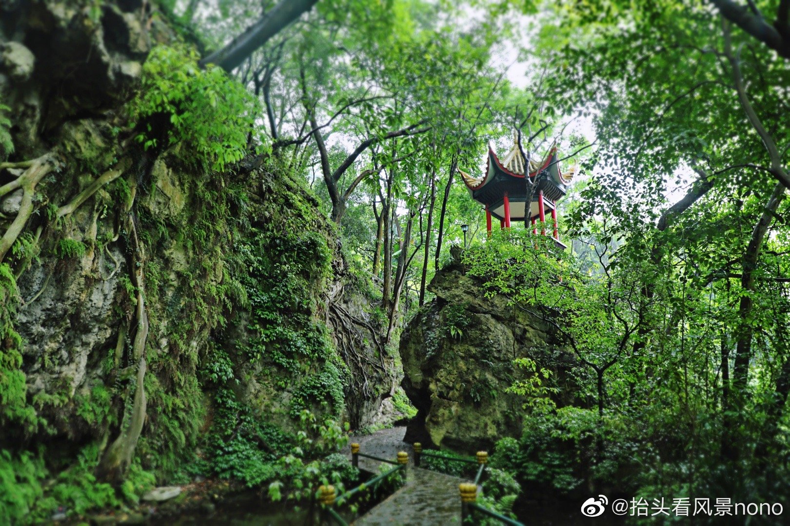山中藏古寺,有泉隐于寺