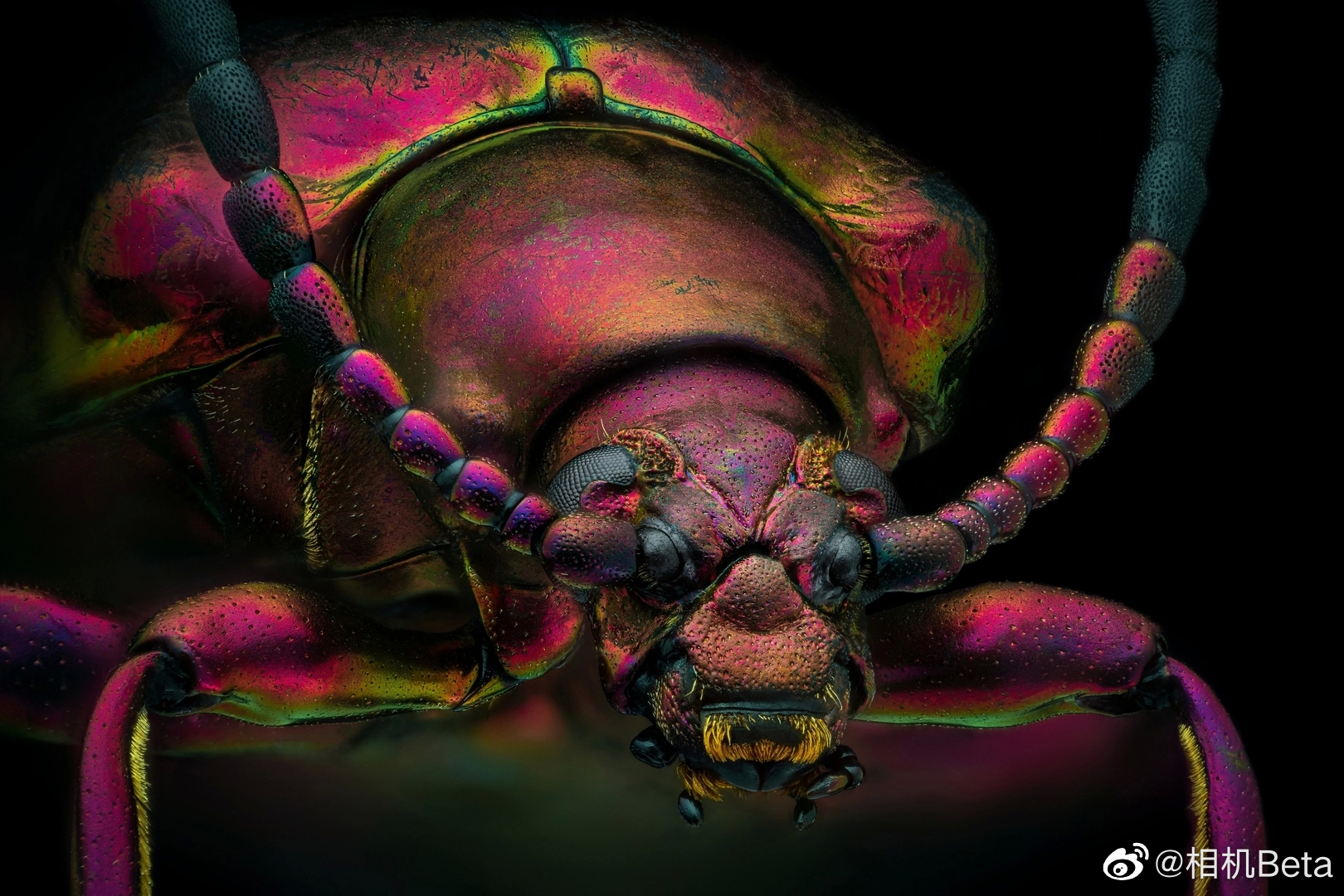 原子放大后是宇宙吗 微观世界与宏观宇宙的惊人相似