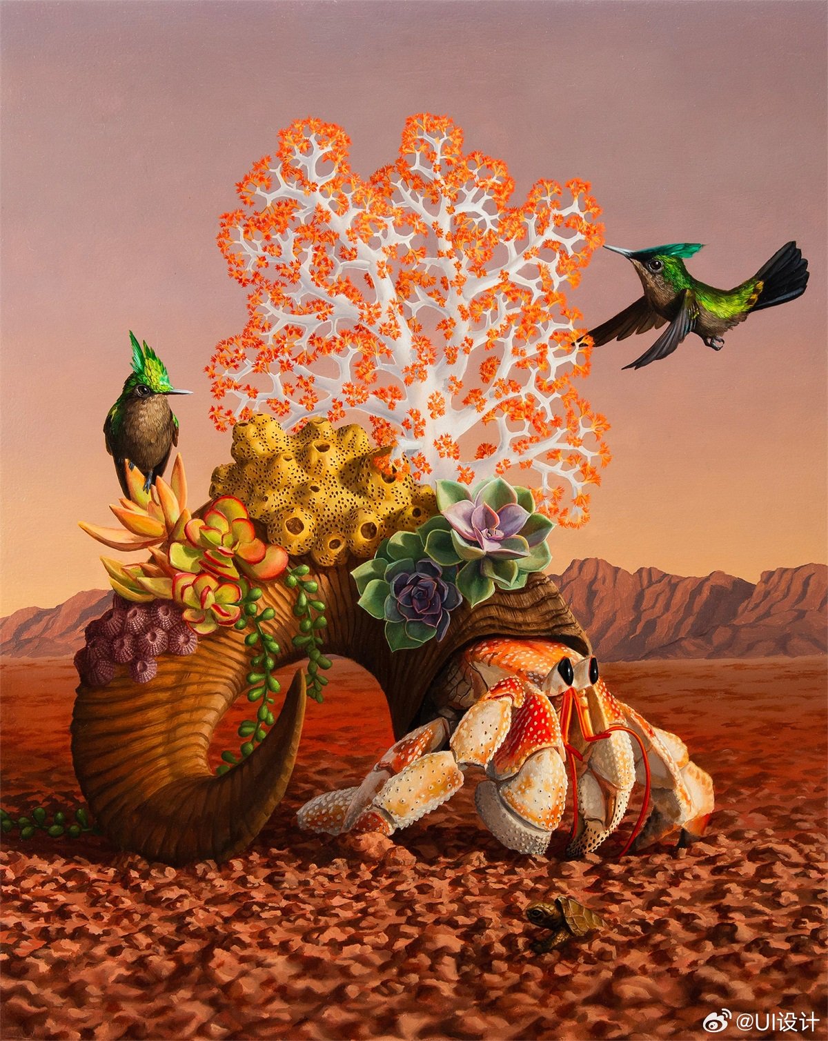 复杂精美动植物插画作品欣赏