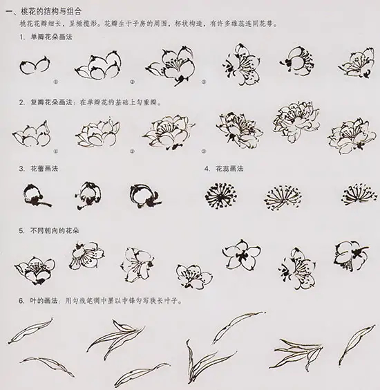 中国国画-桃花的绘画技法