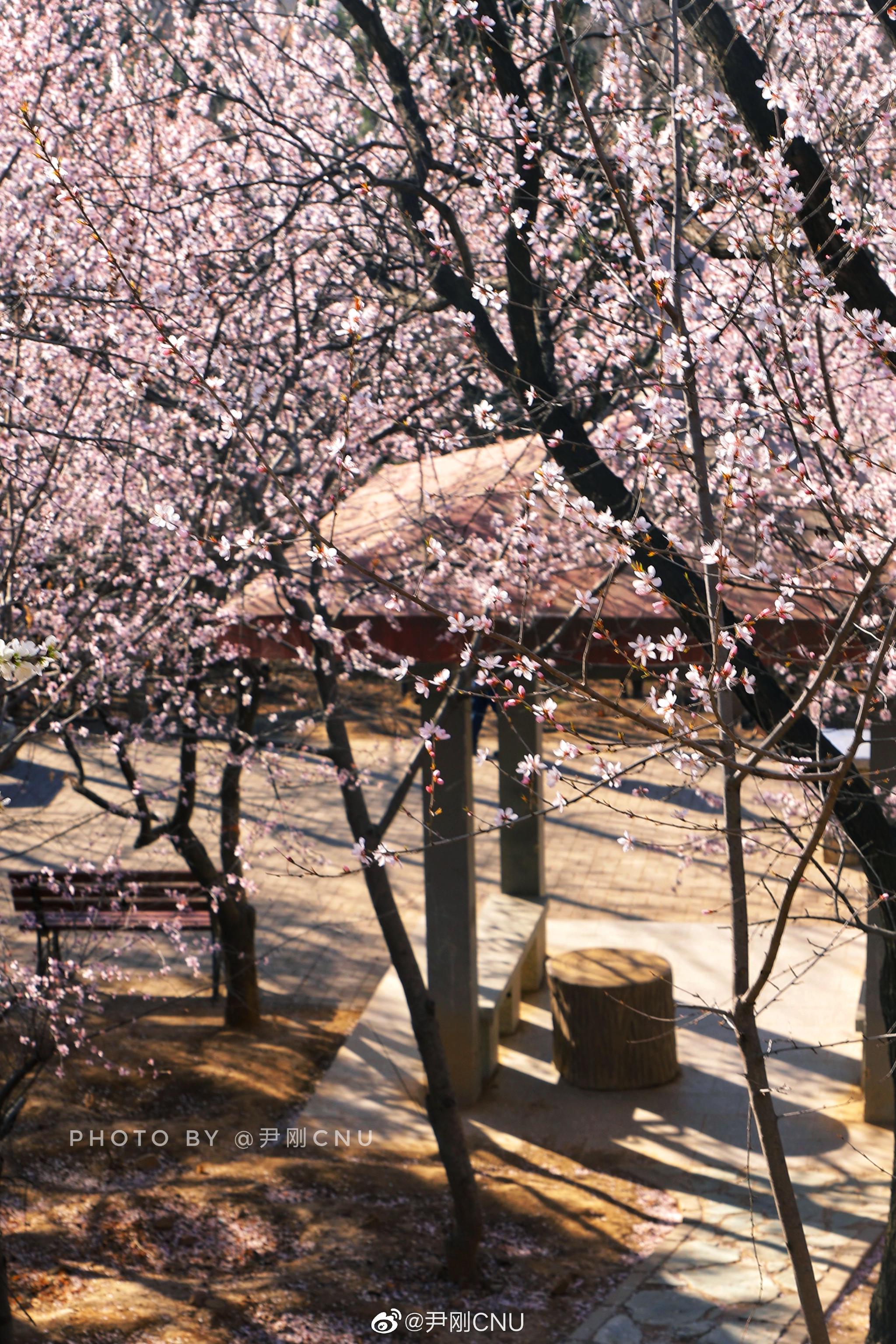 老山城市休闲公园_高清图集_新浪网