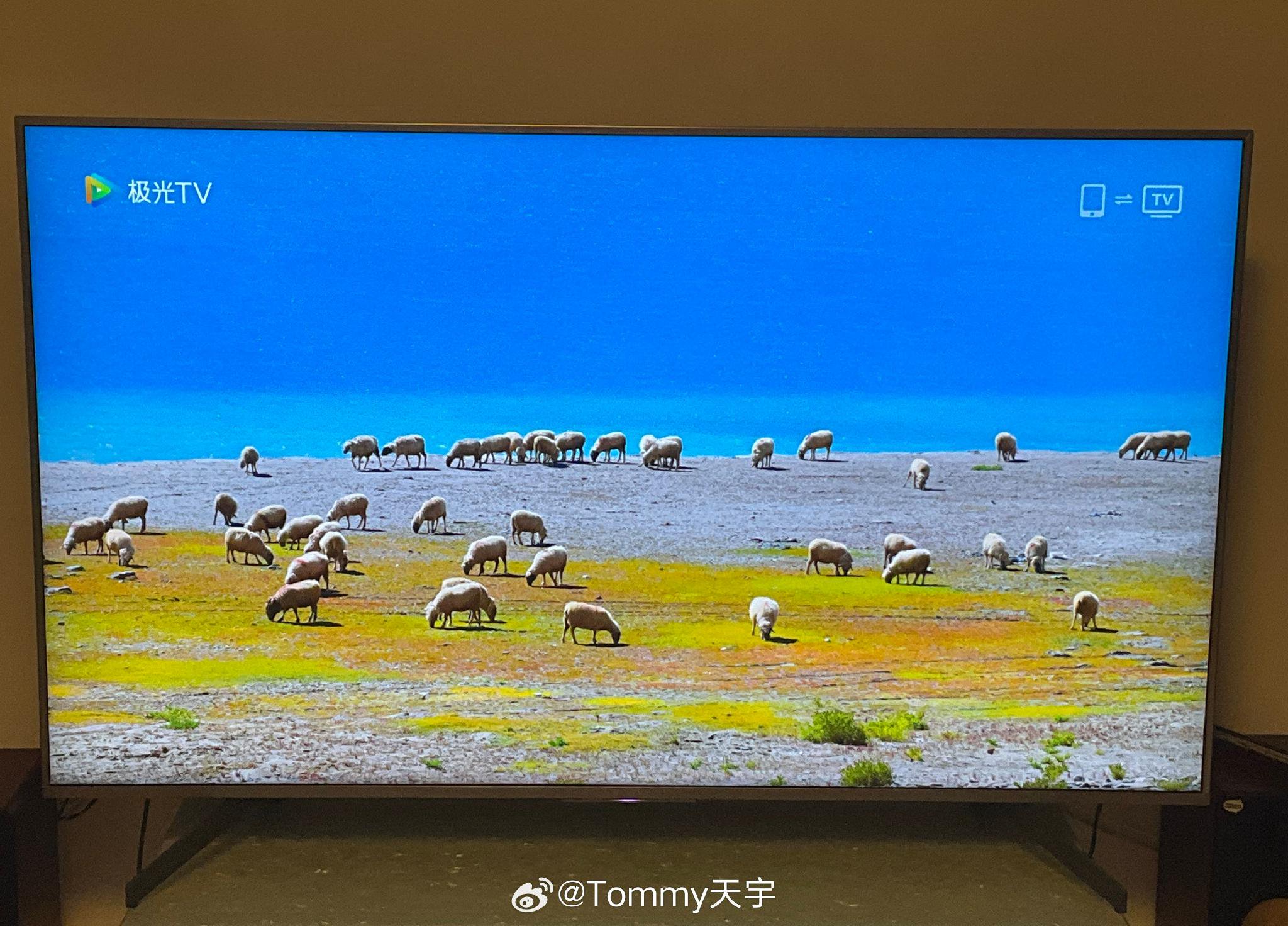 手机上看图不怎么样,投屏到电视上,还可以的样子
