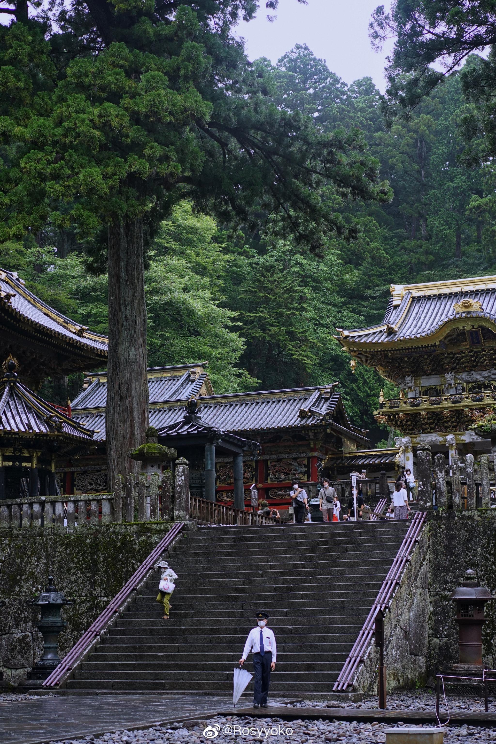 雨后再访日光东照宫,有三猿:不听,不看