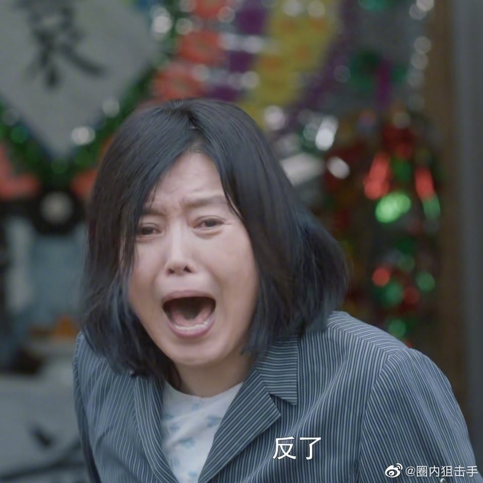 潘贵雨这张标准的"农村泼妇"的脸加上她吃人不吐骨头似的压榨房似锦