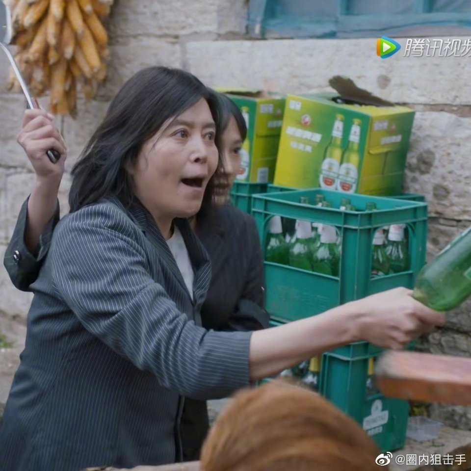 潘贵雨这张标准的"农村泼妇"的脸加上她吃人不吐骨头似的压榨房似锦