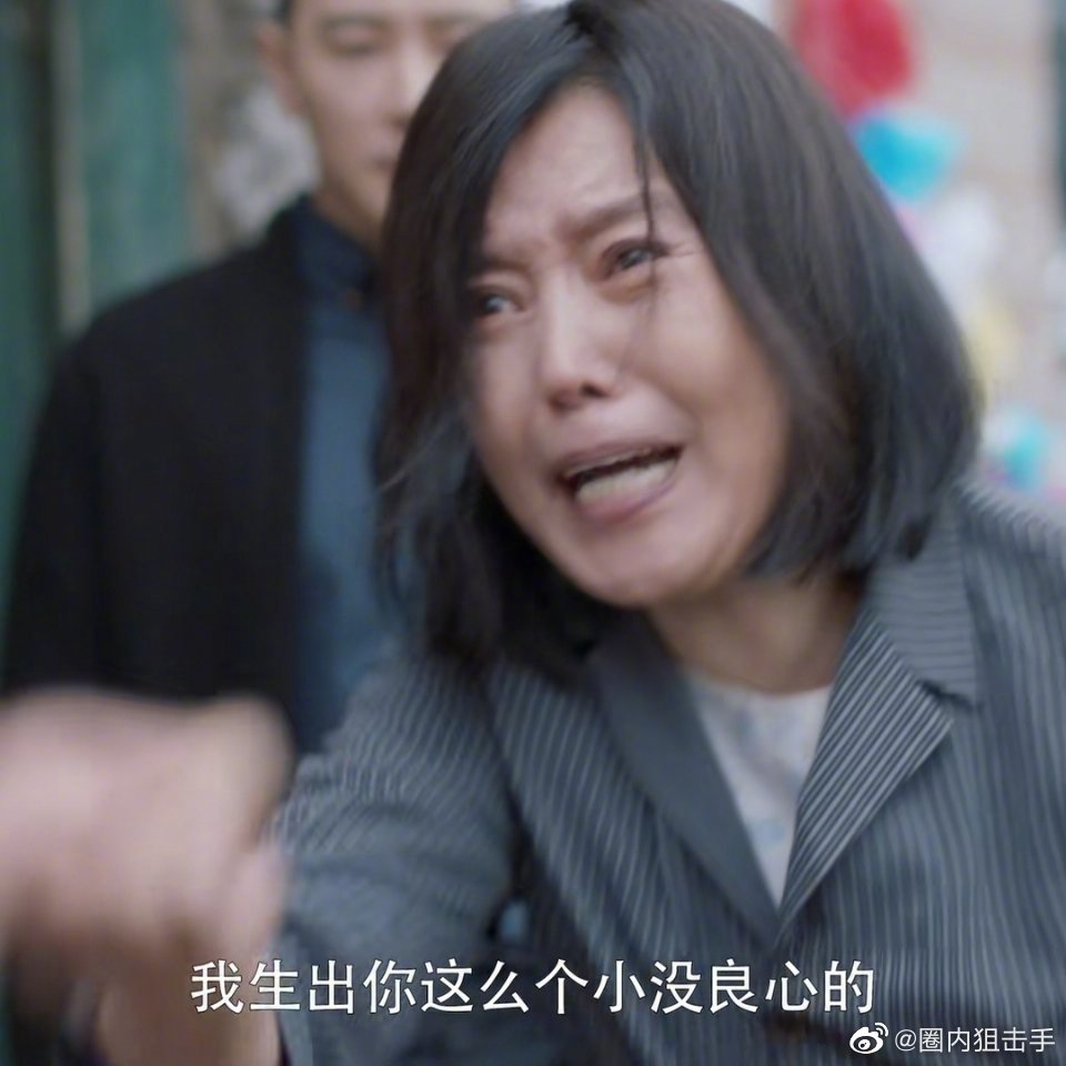 潘贵雨这张标准的"农村泼妇"的脸加上她吃人不吐骨头似的压榨房似锦