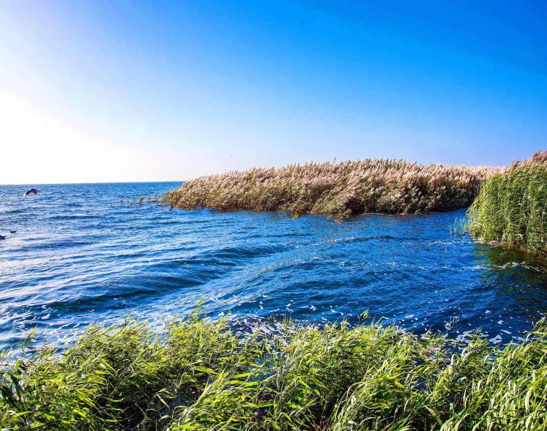暖湿期到来大西北变国家粮仓中华民族重返人类巅峰势不可挡