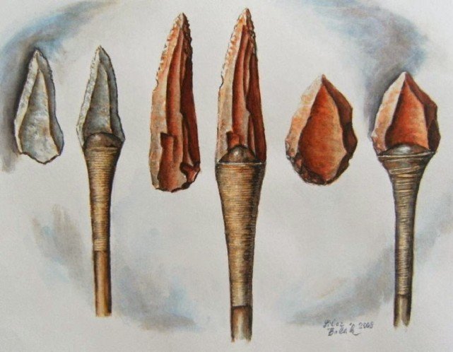 比最原始社会落后2倍失落的塔斯马尼亚文明放弃使用先进技术