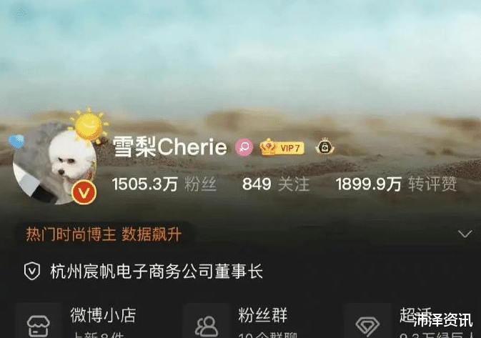 因偷逃税被重罚后，雪梨、林珊珊等网红微博账号被封禁休闲区蓝鸢梦想 - Www.slyday.coM