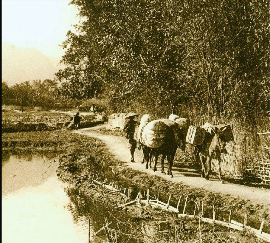 老照片:晚清时期的中国乡村景象|景象|乡村|毛驴_新浪新闻