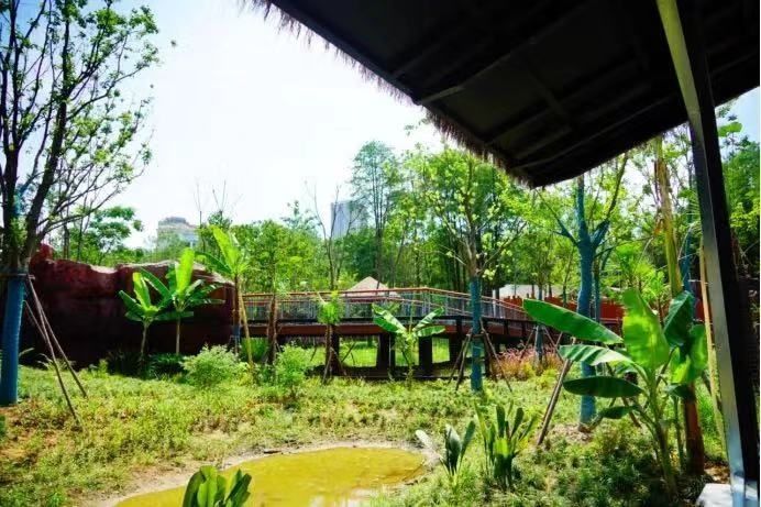 沙滩、泳池,野生动物们的“豪宅”长这样休闲区蓝鸢梦想 - Www.slyday.coM 沙滩、泳池,野生动物们的“豪宅”长这样休闲区蓝鸢梦想 - Www.slyday.coM