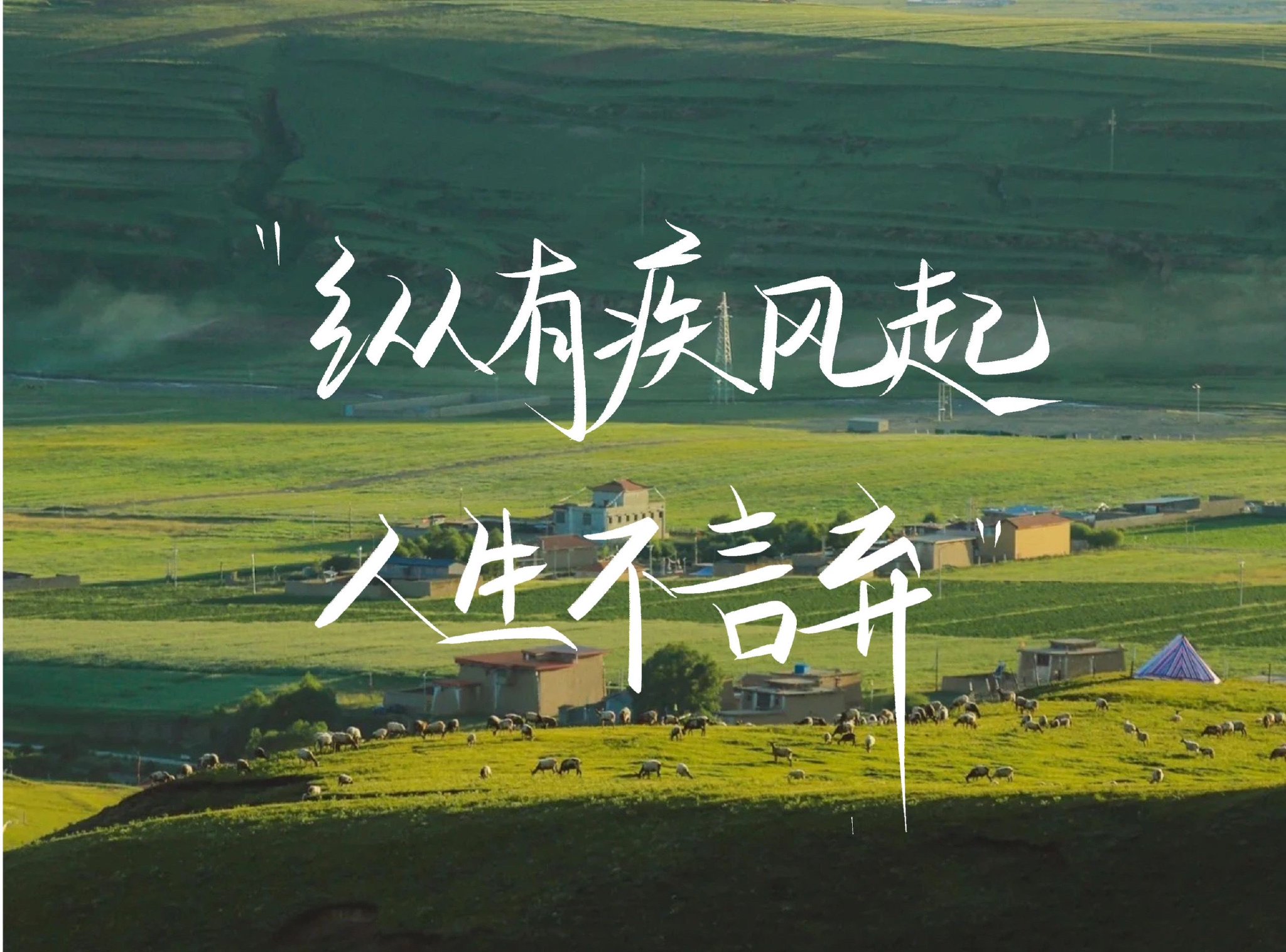 新的ipad电脑壁纸文字壁纸