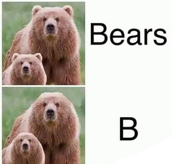 超级搞笑的英文梗图合集：哈哈哈哈哈哈……