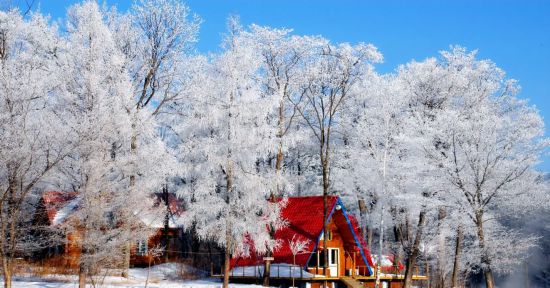 45亿播放量，8800万人次点赞，圆满收官！休闲区蓝鸢梦想 - Www.slyday.coM