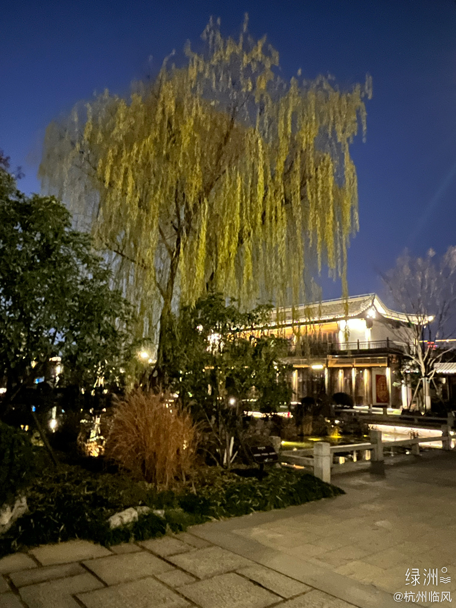 杭州桃花湖公园夜景