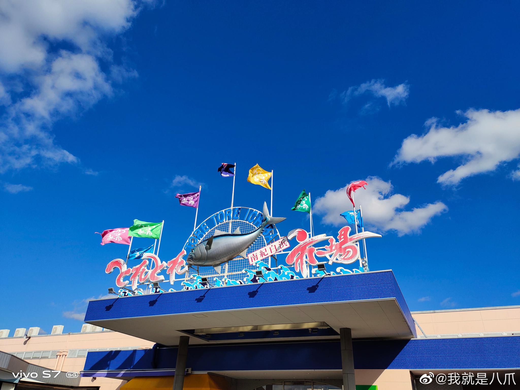 白滨的toretore市场_高清图集_新浪网