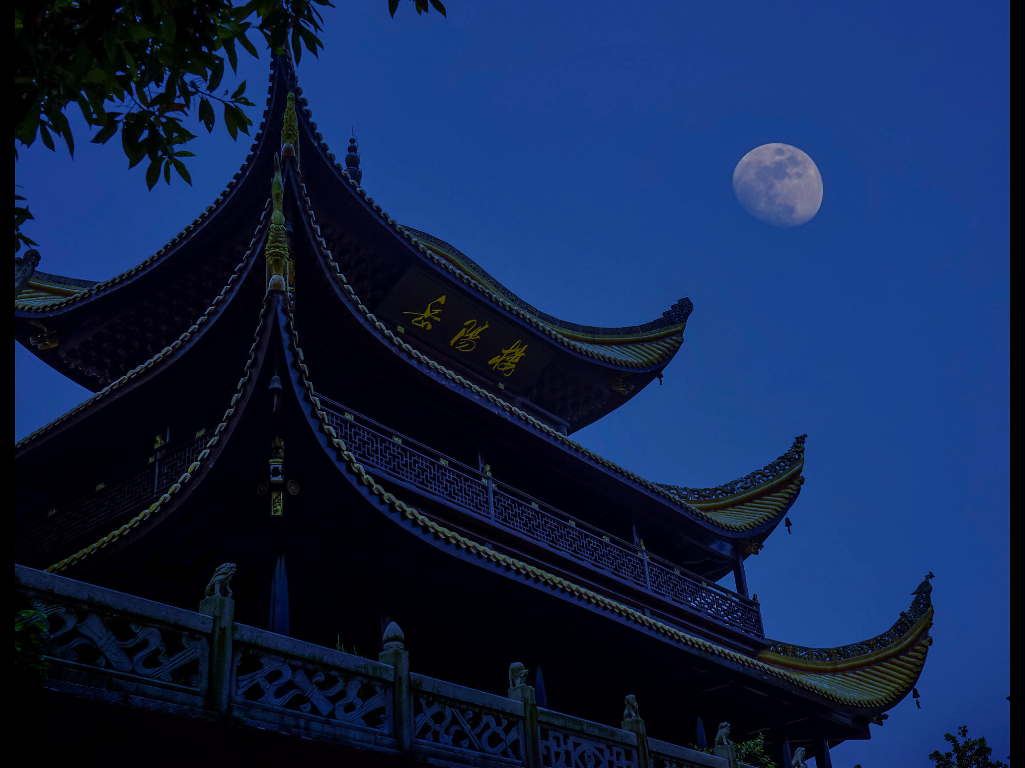 宵风残月影,白露成霜寒._高清图集_新浪网