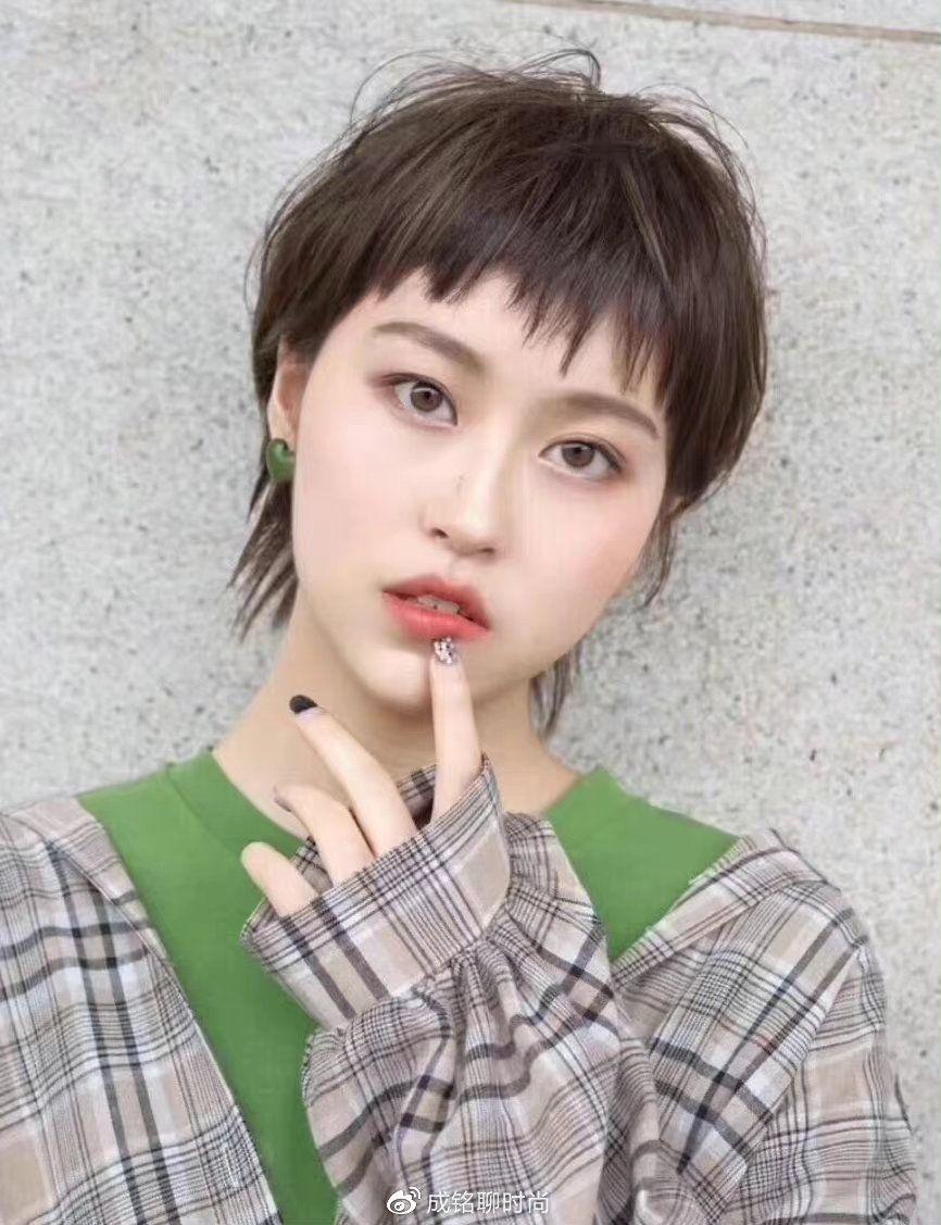 鲻鱼头是一种前短后长的发型,后颈部位刻意留长,有点类似鲻鱼的形状