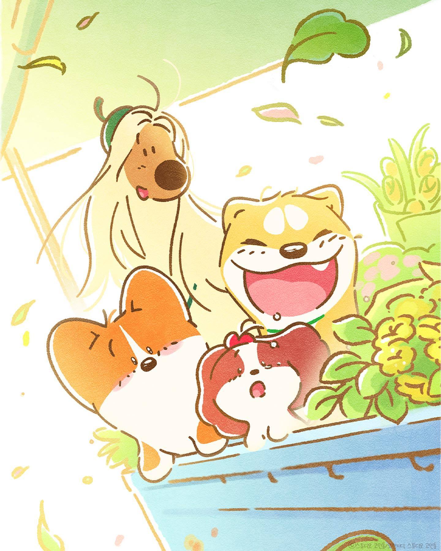 春光- 插画师 doggiecorgi