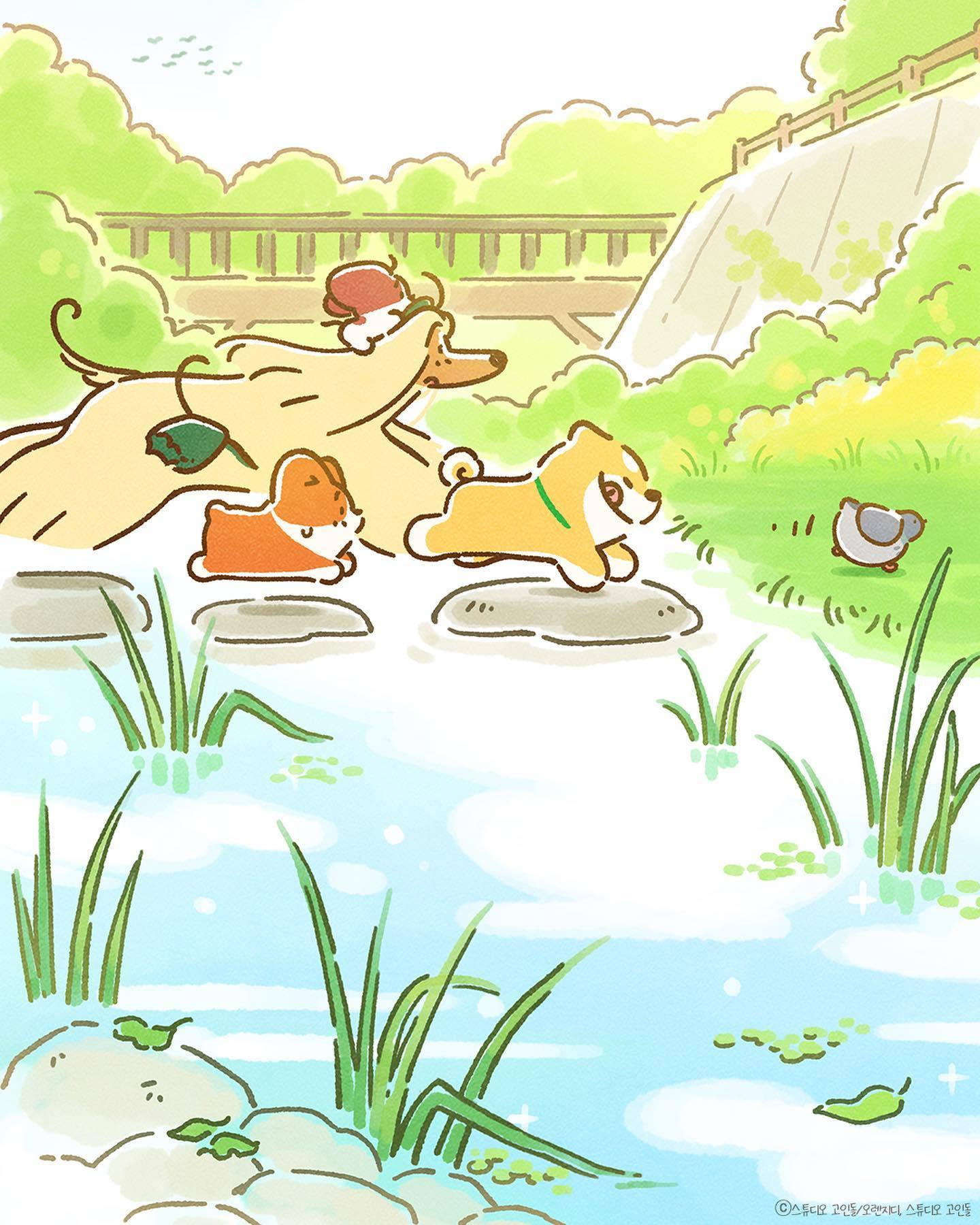 春光- 插画师 doggiecorgi