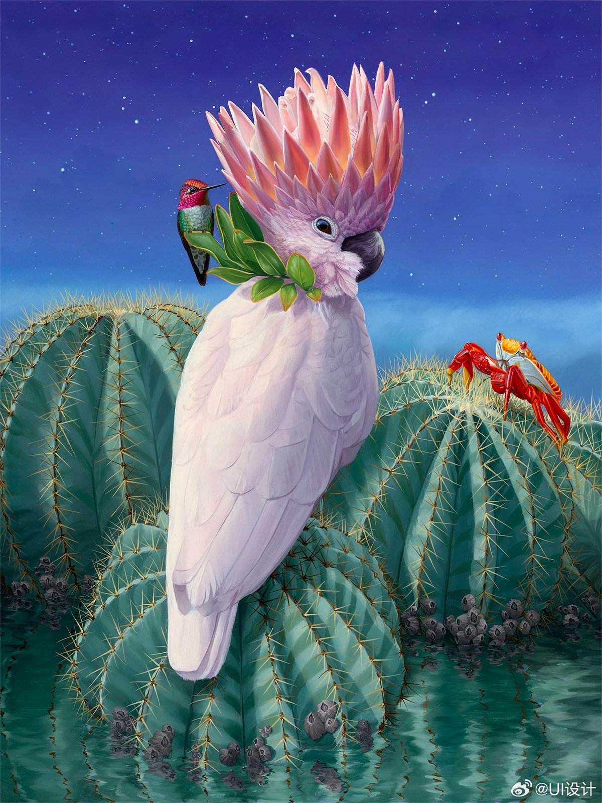 复杂精美动植物插画作品欣赏