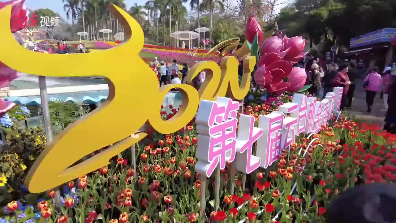 留穗过年 云台赏花 感受南国之春 云上全家福