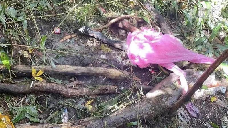 哀牢山4名遇难地质队员为何用一次性塑料雨衣？所属单位回应休闲区蓝鸢梦想 - Www.slyday.coM