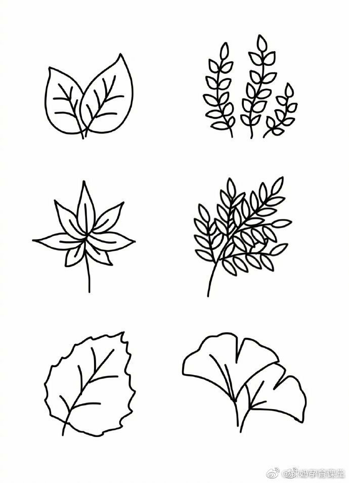 树叶叶子卡通简笔画手账素材