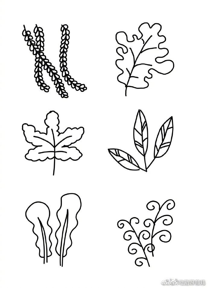 叶子简笔画大全↓↓↓秋天到了,带娃辨认不同的树叶吧