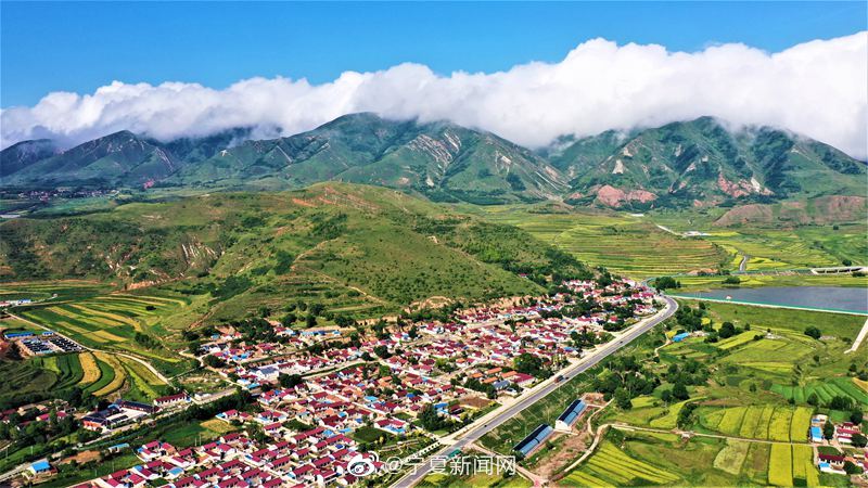 "宁夏固原市隆德县陈靳乡新和村口一块大理石上刻的这句话,生动地阐释