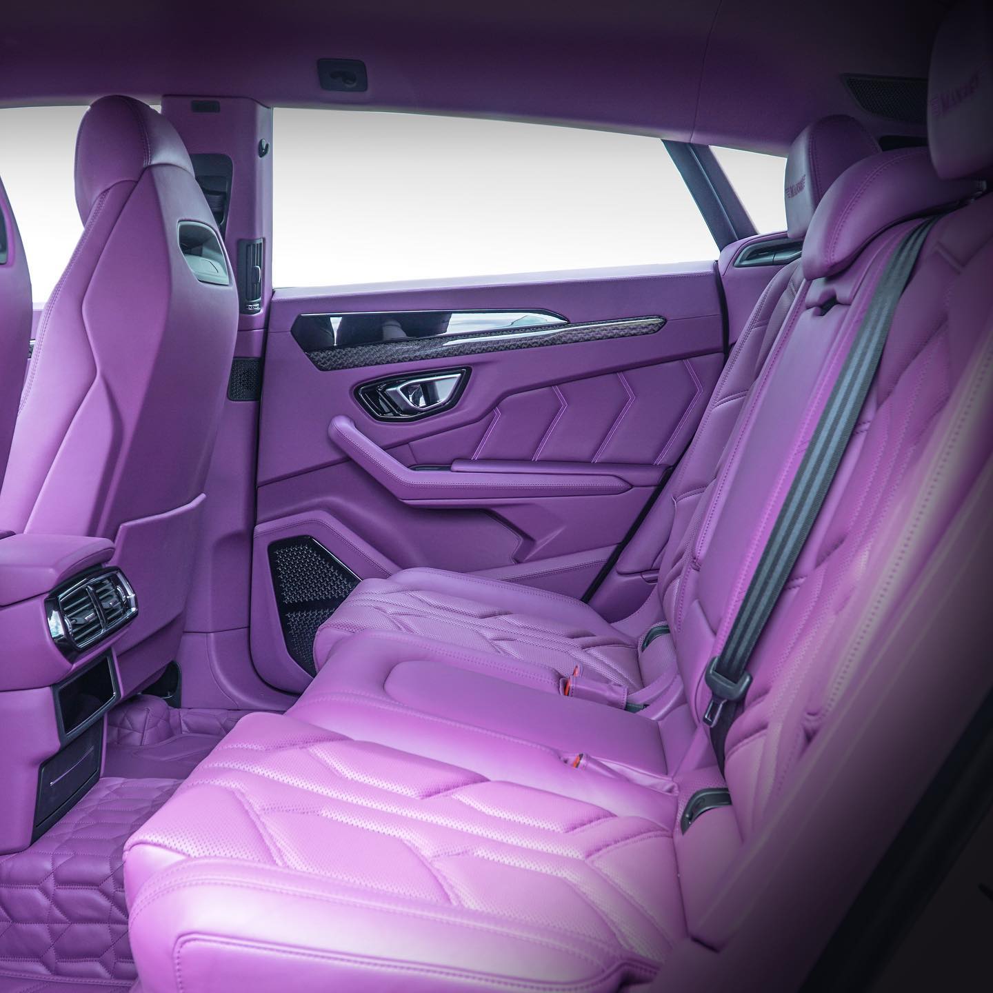 事实上,兰博基尼的每一个内饰表面都采用了紫色,而那些没有采用的则