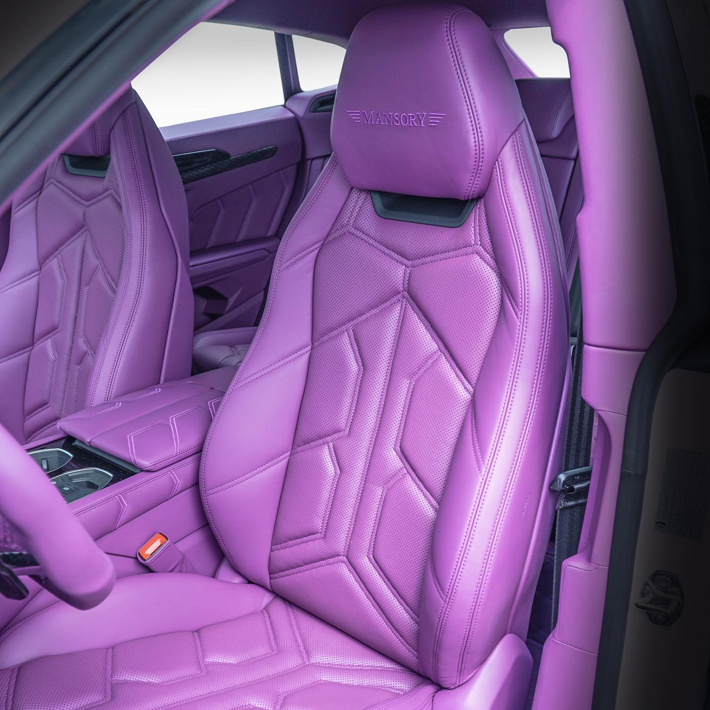 事实上,兰博基尼的每一个内饰表面都采用了紫色,而那些没有采用的则