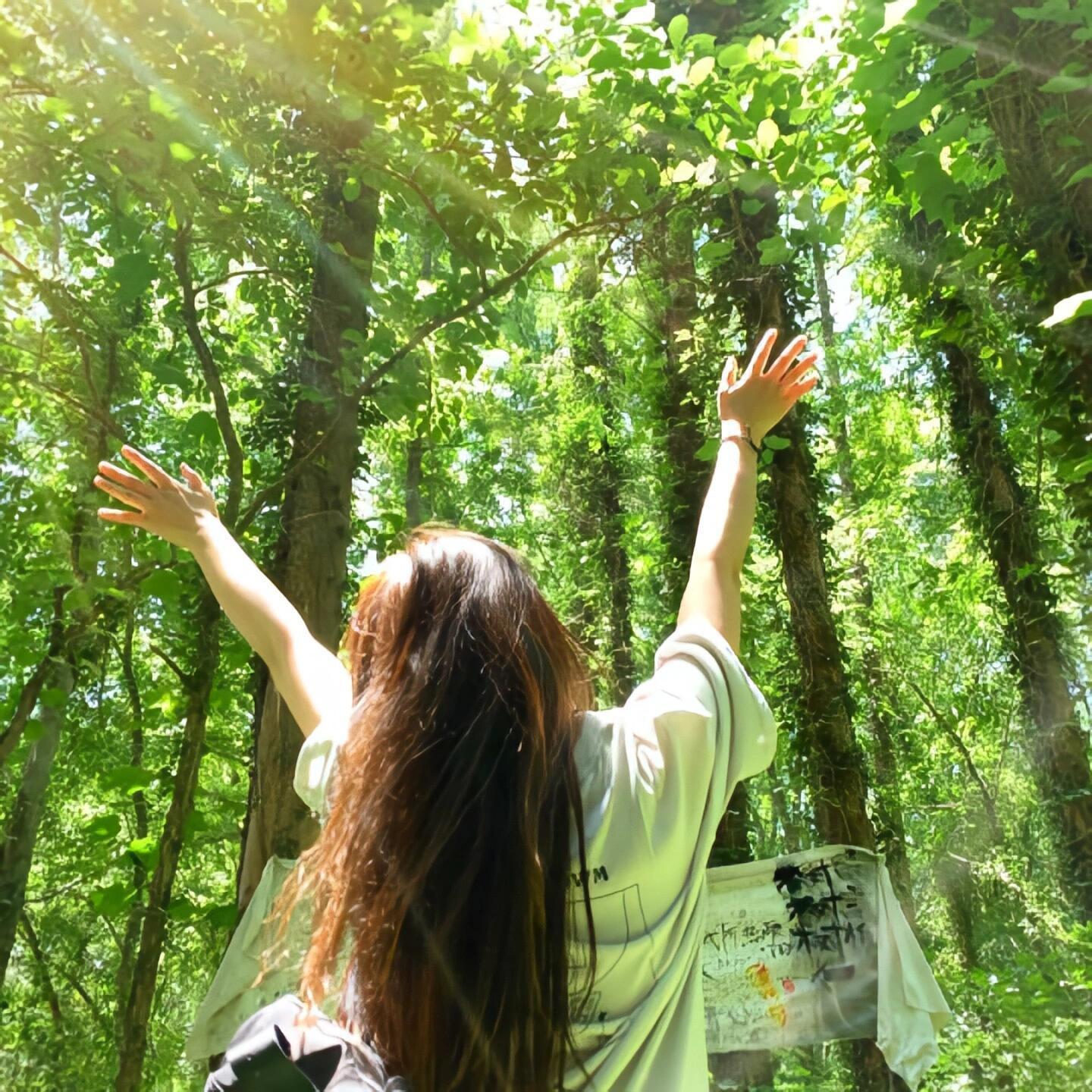 自由感wechat头像