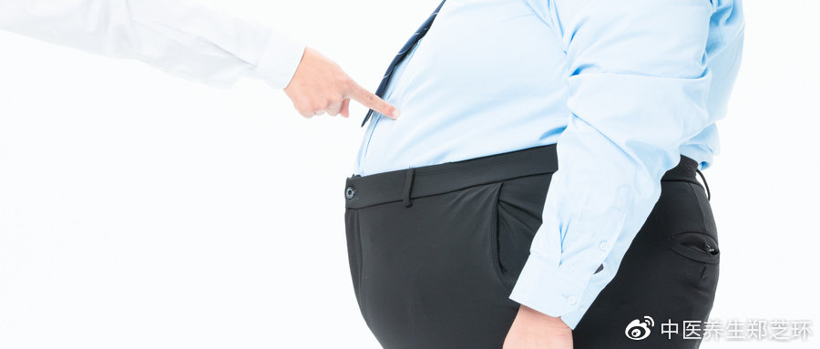 啤酒肚大腹便便多数为痰湿体质调理以脾胃为主