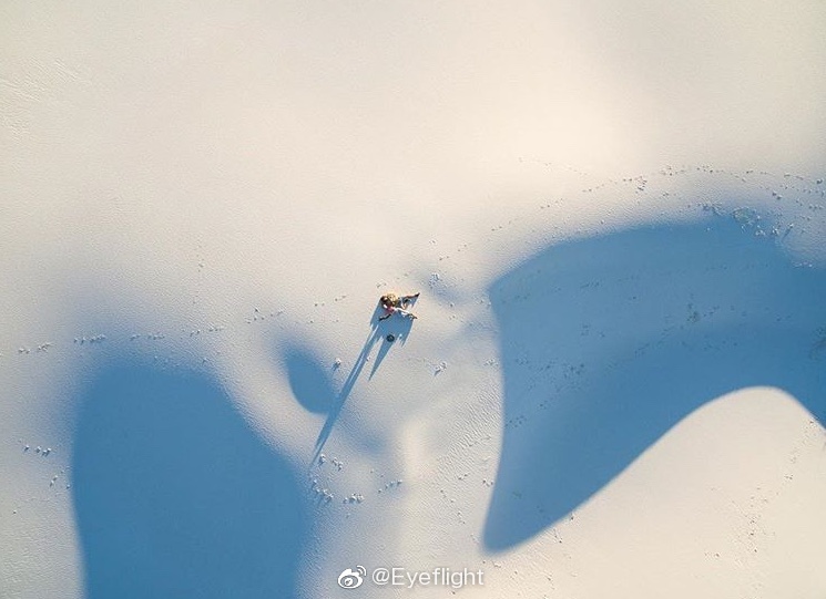 豆瓣评分如何引发热议