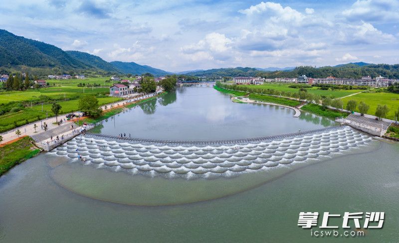 十里荷花看不尽"画里小河"|十里荷花|小河|小河乡_新浪新闻