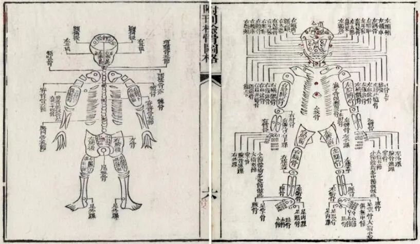 近代的法医,是如何取代古代验尸的“仵作”