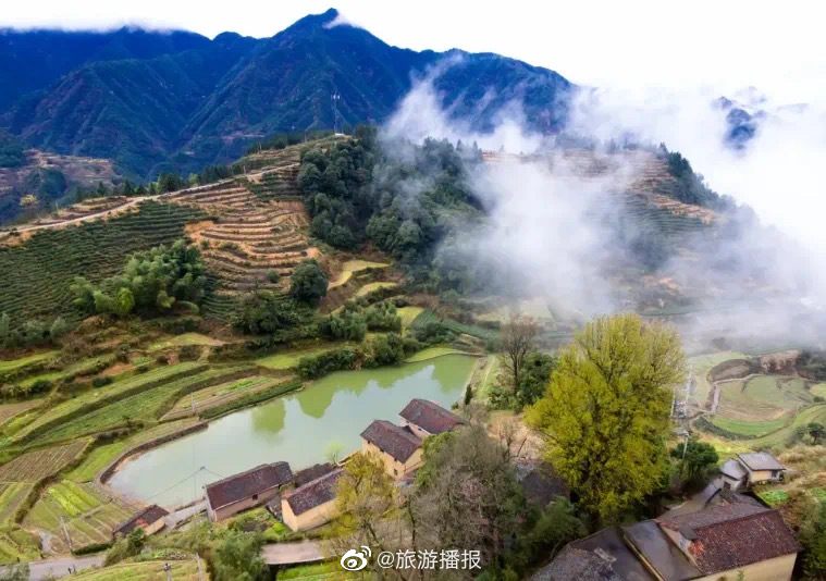 在大木山茶园还有一间非常有名的茶室