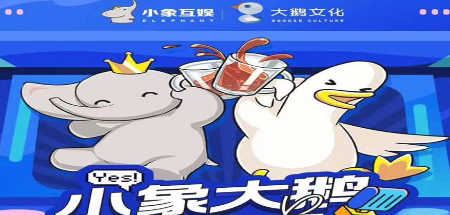 彭昱畅直播人气超高,小象大鹅ceo窦雨潇功不可没|彭昱畅|小象|窦雨潇