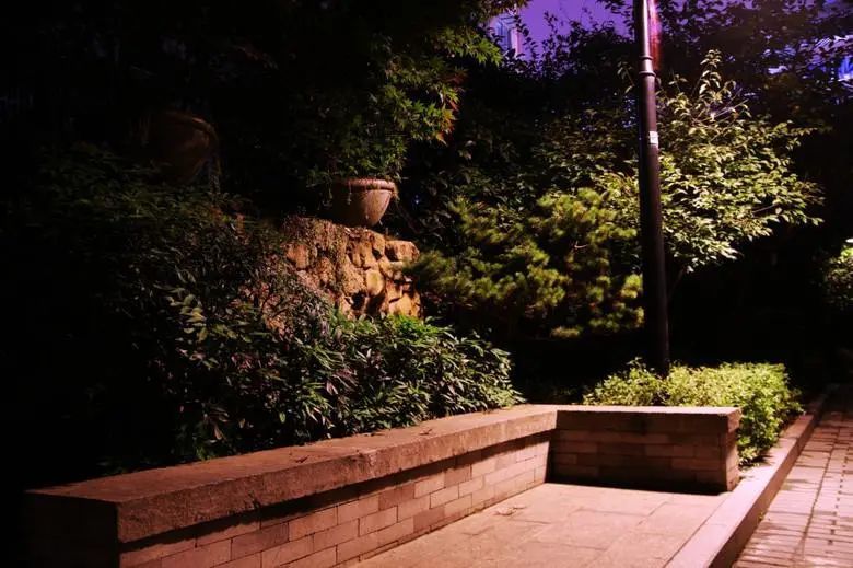 晚上回家,发现有一只蛐蛐蜷缩在墙角.