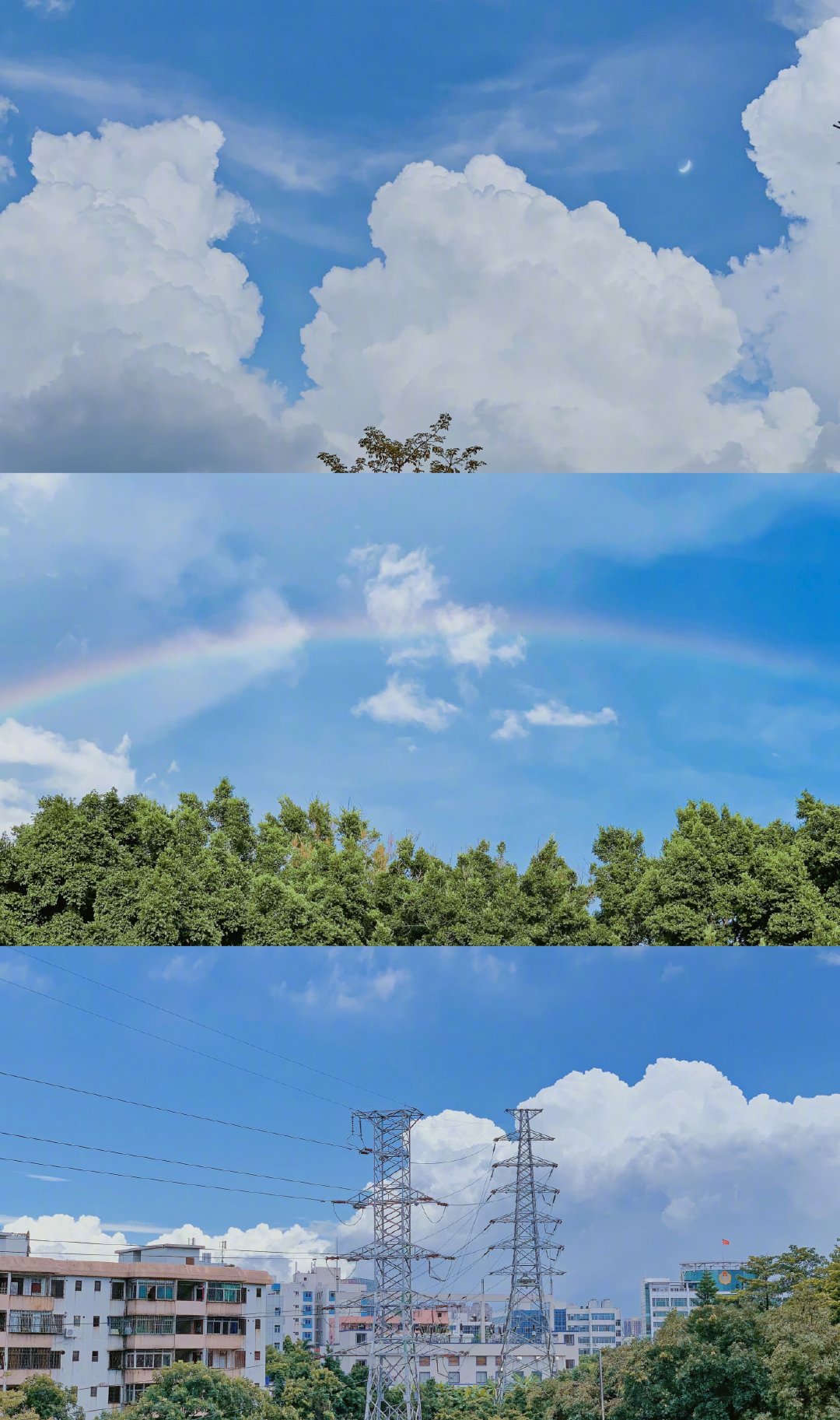 从黎明到黄昏阳光充足胜过一切的诗海子