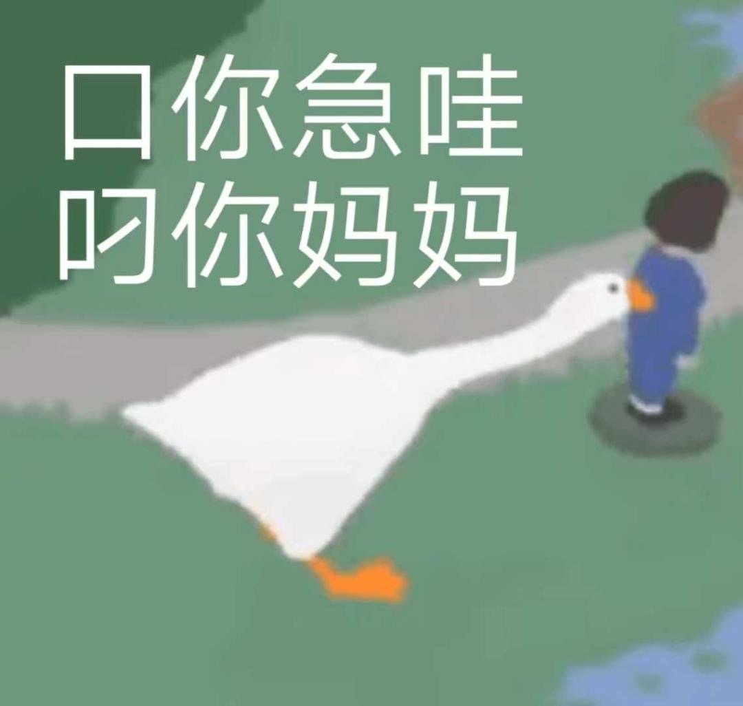 一组大鹅表情包合集，晚上好