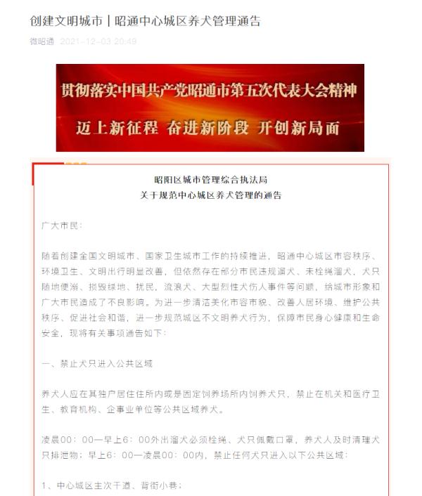 来说说看丨遛狗仅限凌晨，狗须戴好防咬口罩，你支持吗？休闲区蓝鸢梦想 - Www.slyday.coM