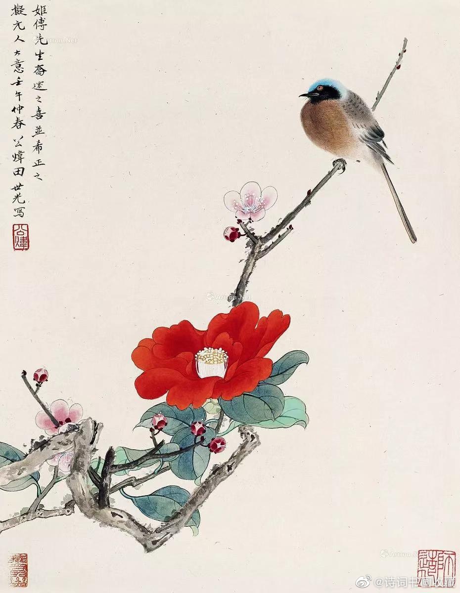田世光笔下的花鸟，清新脱俗、赏心悦目|花鸟画_新浪新闻