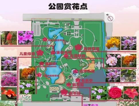 地图一,书香公园飘花香景点推荐:图书馆-书乐亭-百花园-迷你书吧广州