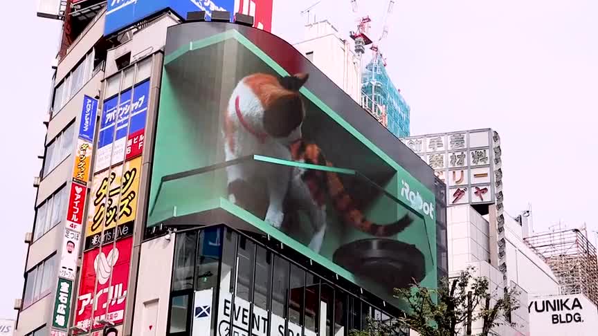 日本街头惊现巨型3d猫,户外广告创意还能这么玩?