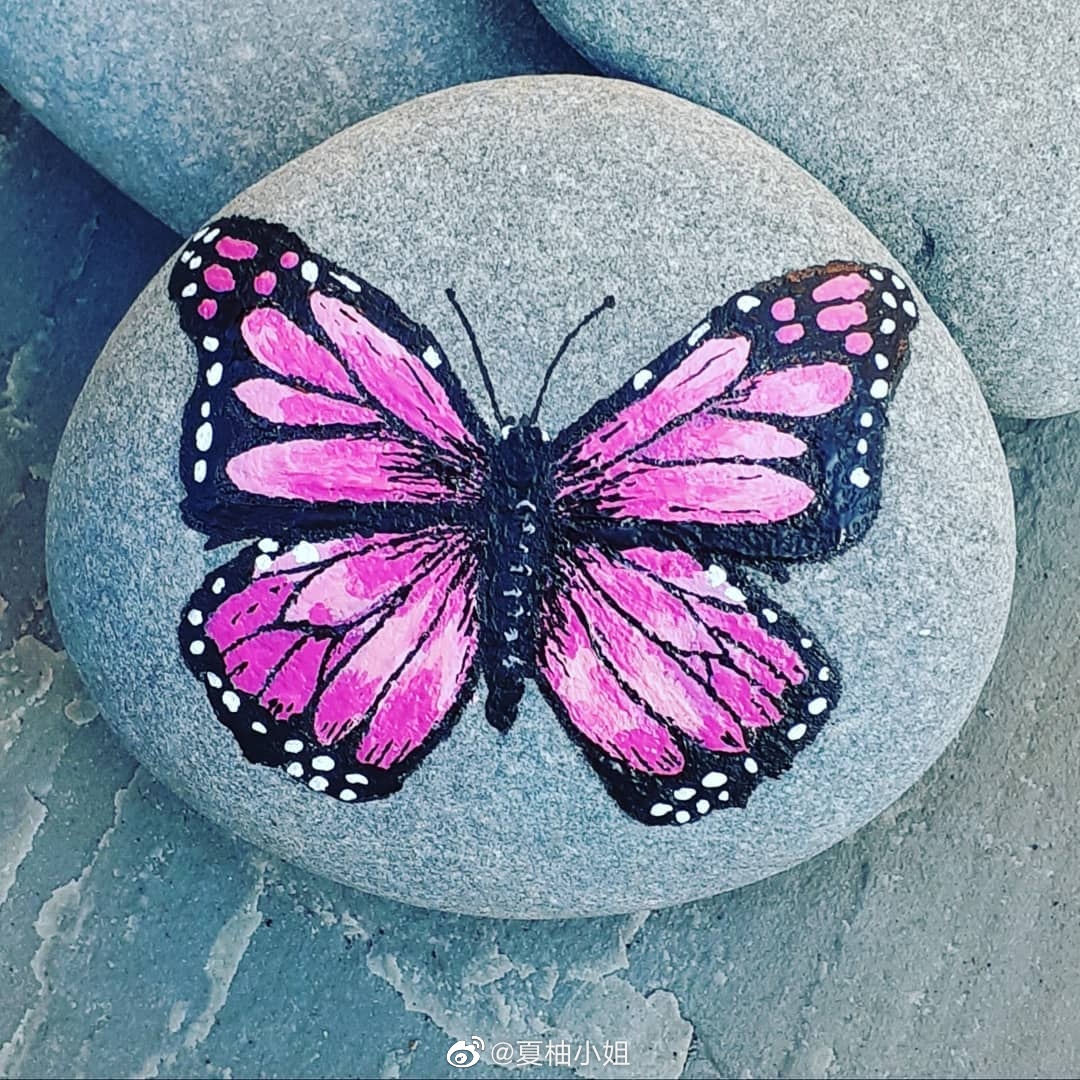 蝴蝶系列石头画合集