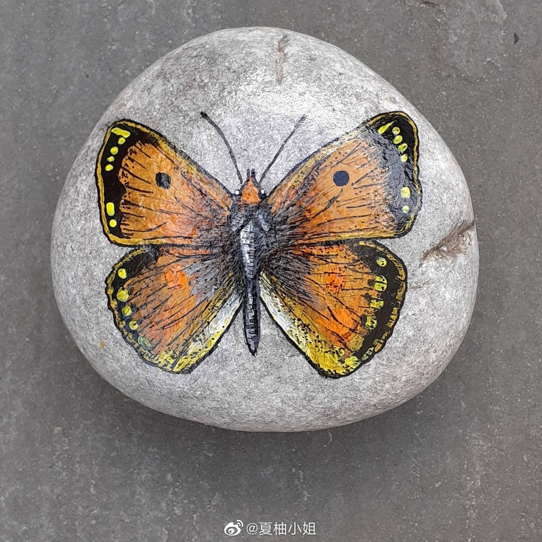 蝴蝶系列石头画合集