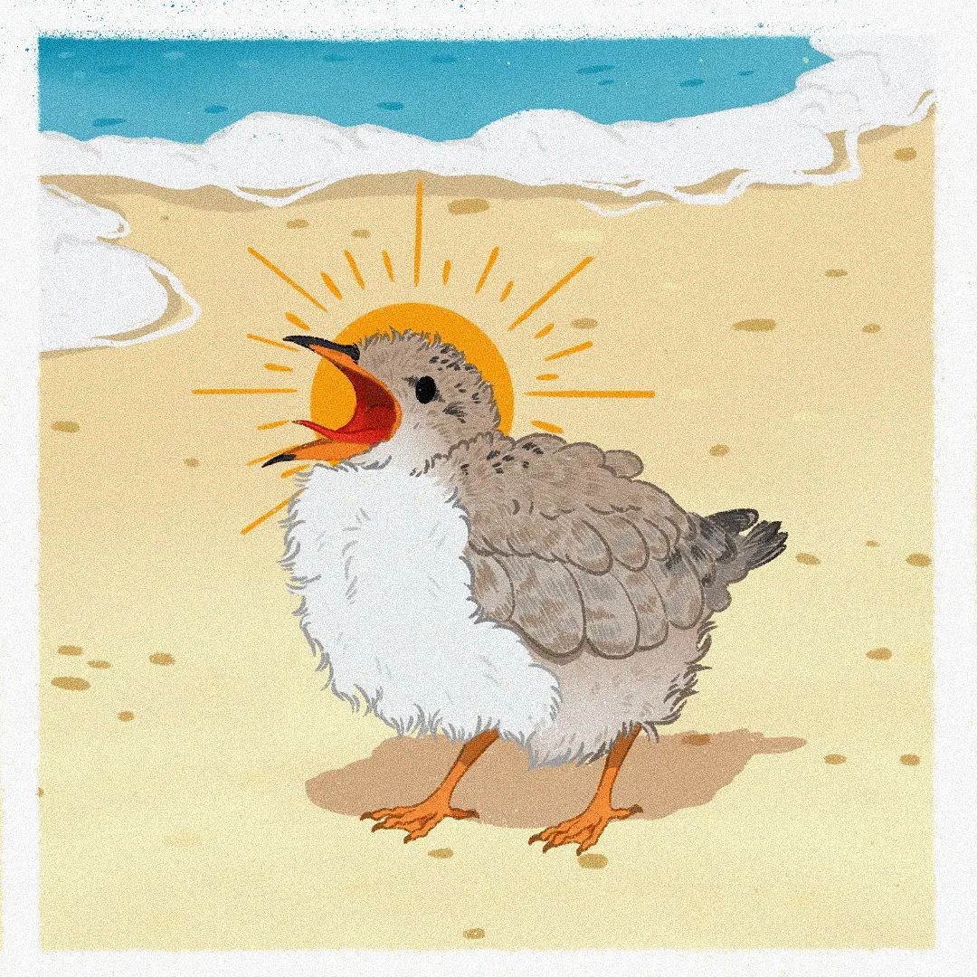设计师mooncatsandsparrows用画笔记录下不同地域飞禽鸟兽__财经头条