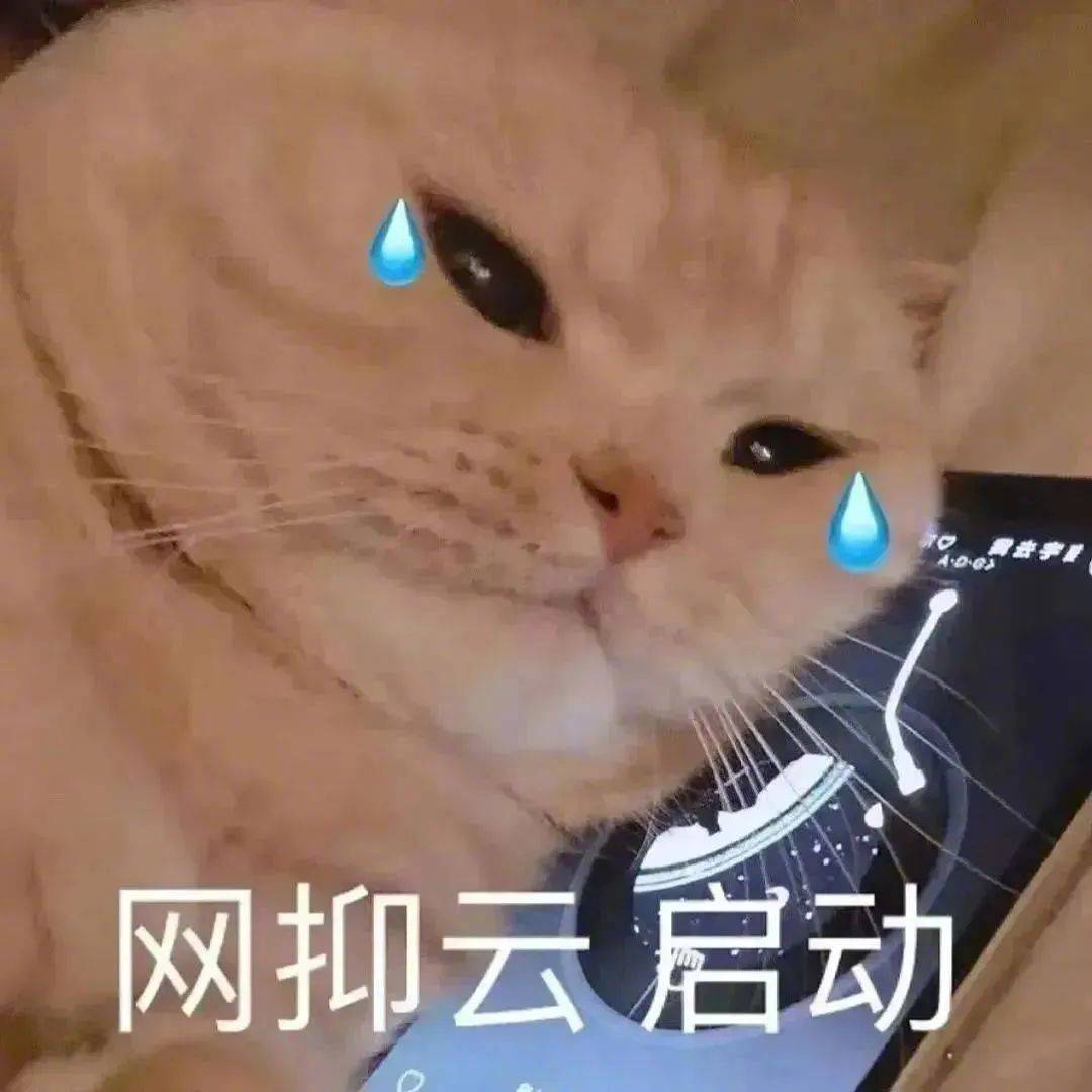 表情包 | 网抑云 启动 拿图点赞,吱声